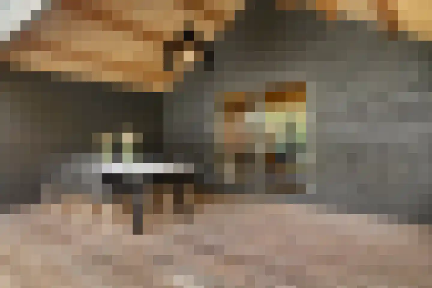 Julianalaan 4 Bennekom thumbnail 48