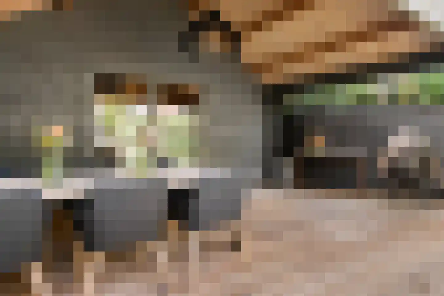 Julianalaan 4 Bennekom thumbnail 49