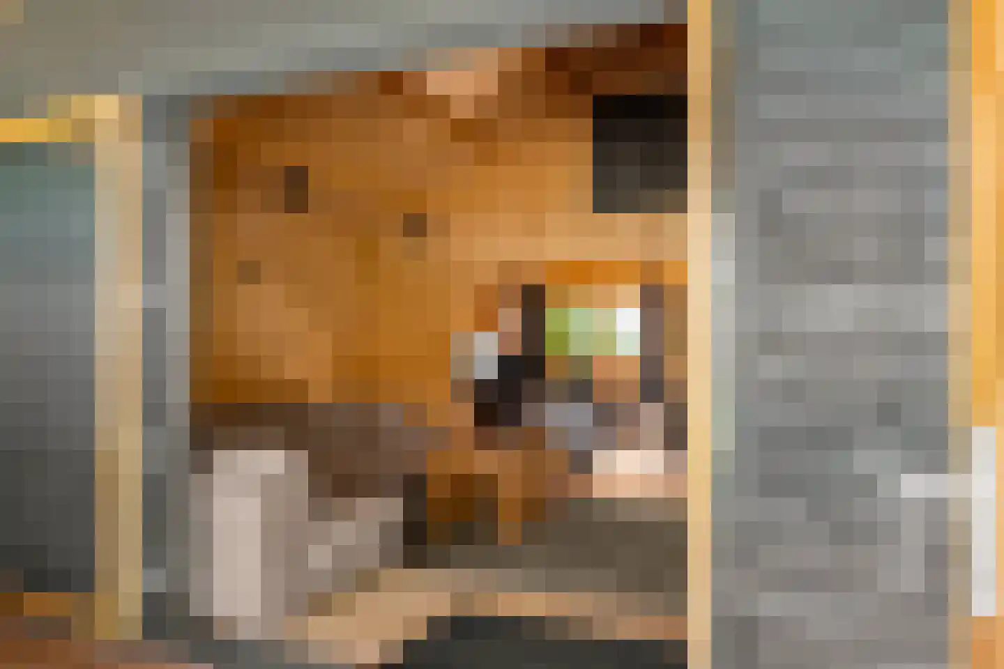 Julianalaan 4 Bennekom thumbnail 50
