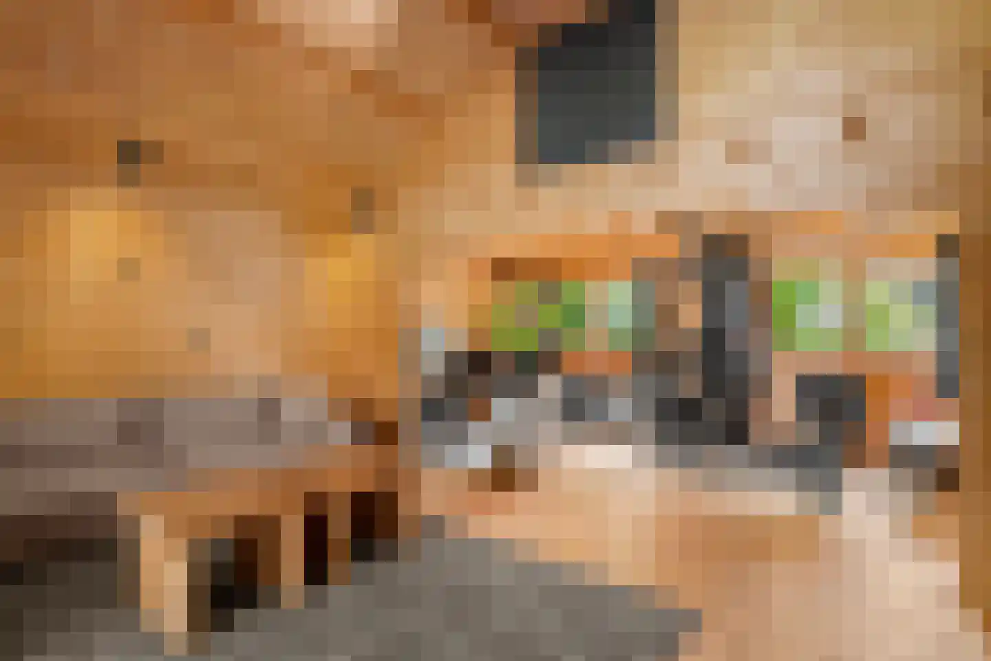 Julianalaan 4 Bennekom thumbnail 51