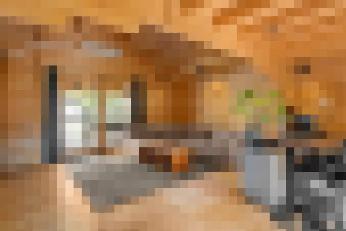 Julianalaan 4 Bennekom thumbnail 53