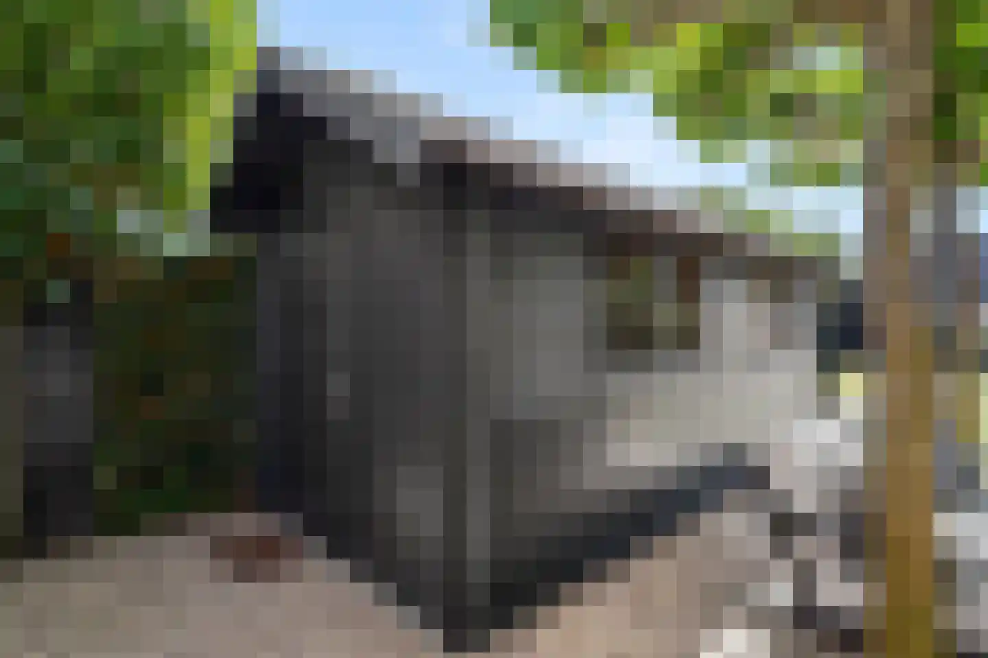 Julianalaan 4 Bennekom thumbnail 54