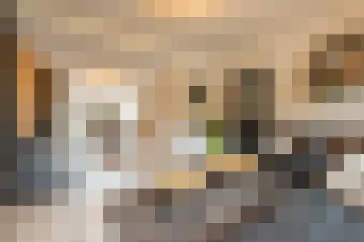 Julianalaan 4 Buren foto 2