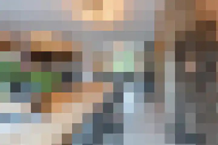 Julianalaan 4 Buren thumbnail 20