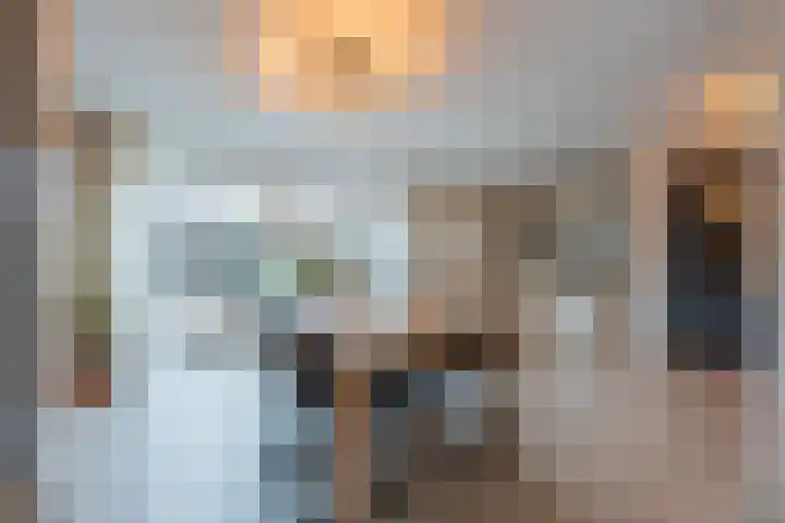 Julianalaan 4 Buren thumbnail 22