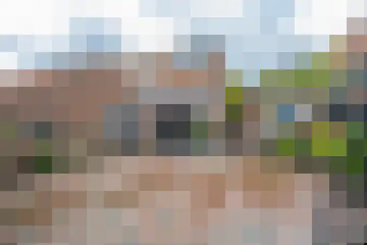 Julianalaan 4 Buren foto 3