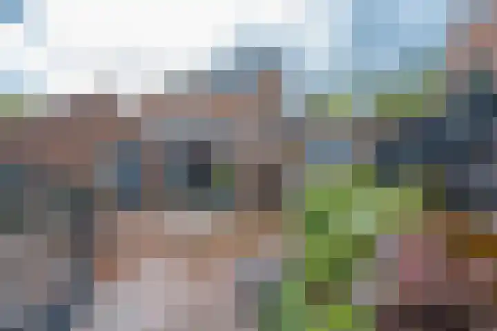 Julianalaan 4 Buren thumbnail 32