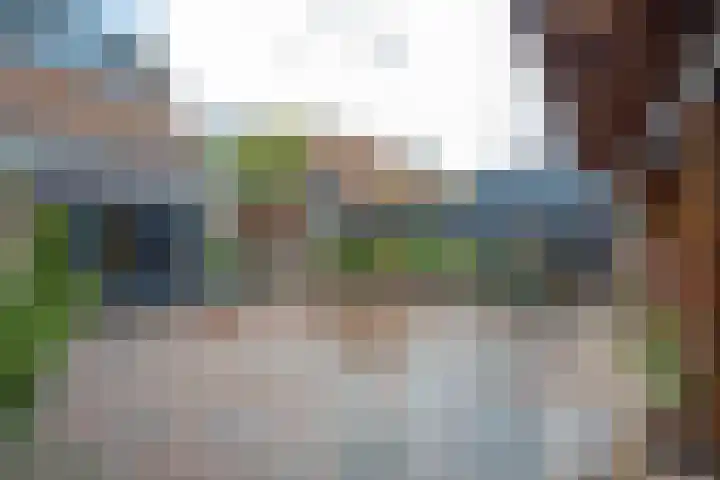 Julianalaan 4 Buren thumbnail 34