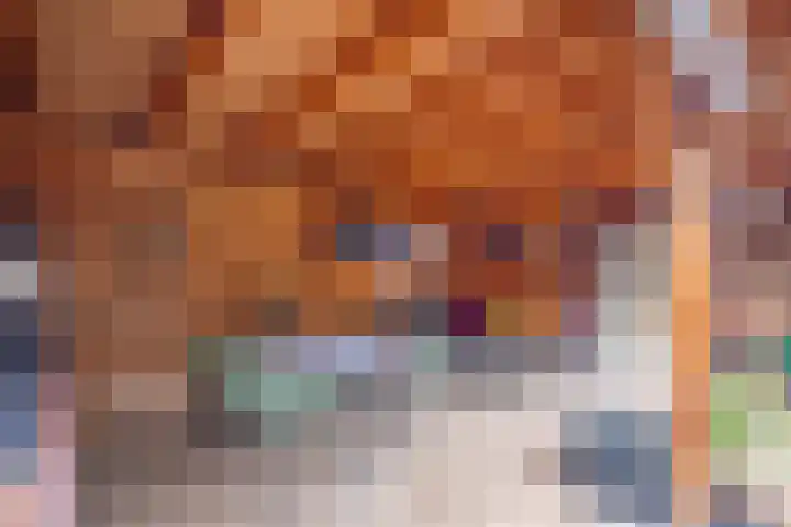 Julianalaan 4 Buren thumbnail 36