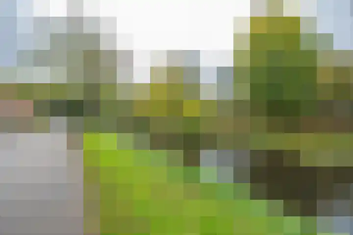 Julianalaan 4 Buren thumbnail 4