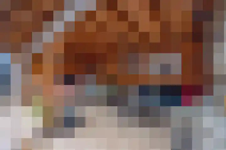 Julianalaan 4 Buren thumbnail 38