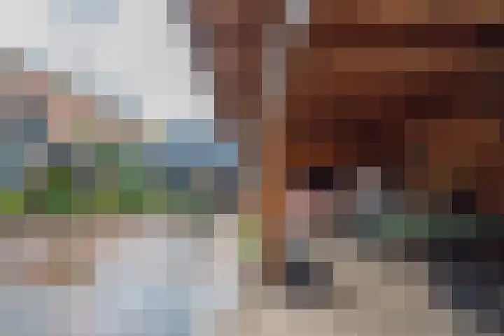 Julianalaan 4 Buren thumbnail 39