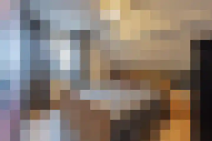Julianalaan 4 Buren thumbnail 41
