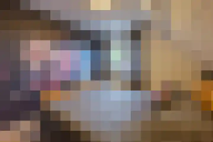 Julianalaan 4 Buren thumbnail 42