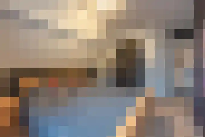 Julianalaan 4 Buren thumbnail 43