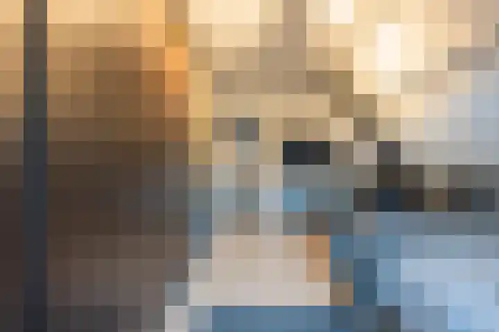 Julianalaan 4 Buren thumbnail 45