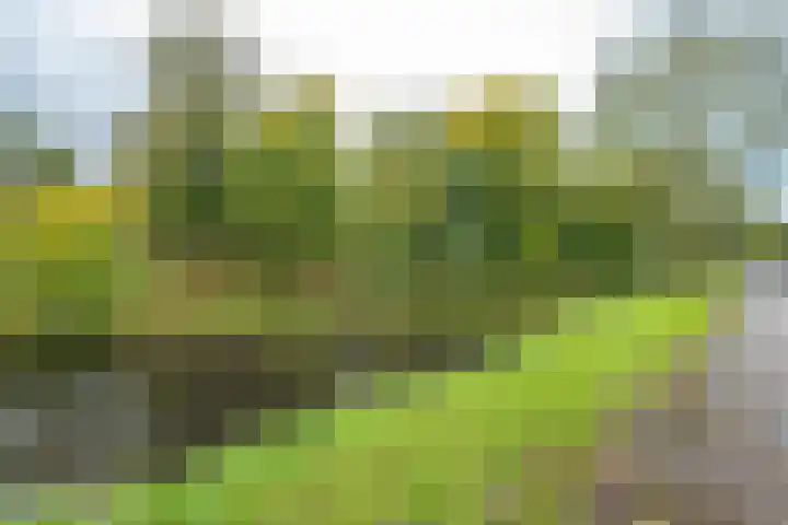 Julianalaan 4 Buren thumbnail 5