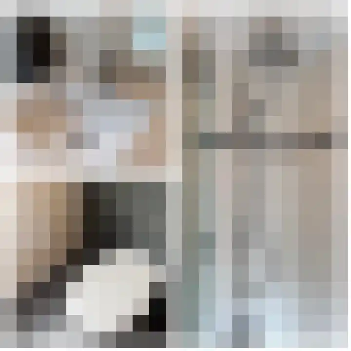 Julianalaan 4 Buren thumbnail 48