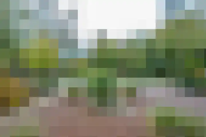 Julianalaan 4 Buren thumbnail 54