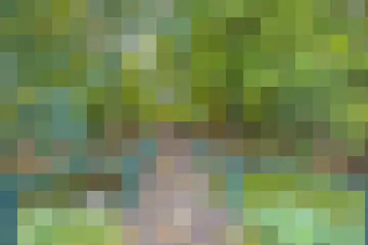 Julianalaan 4 Buren thumbnail 55