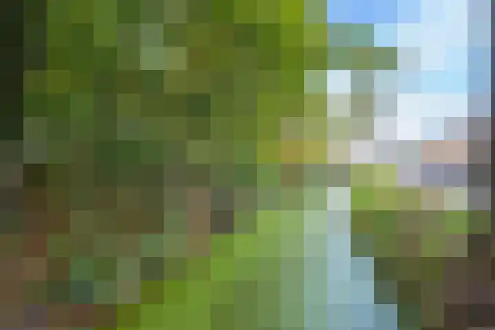 Julianalaan 4 Buren thumbnail 56