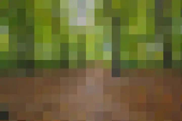 Julianalaan 4 Buren thumbnail 57