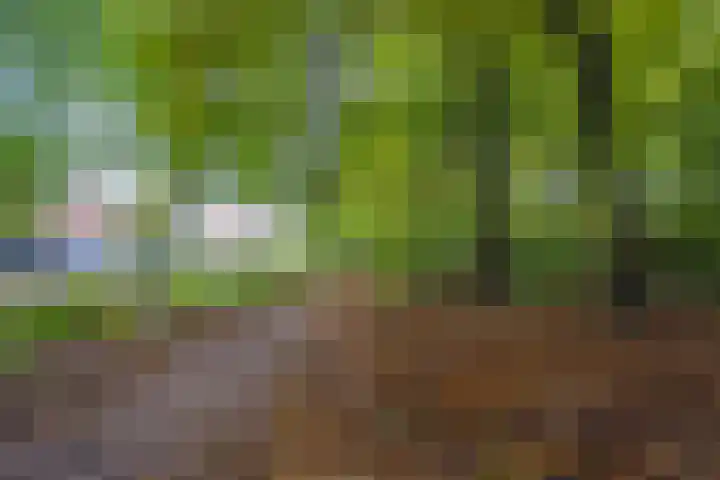 Julianalaan 4 Buren thumbnail 58