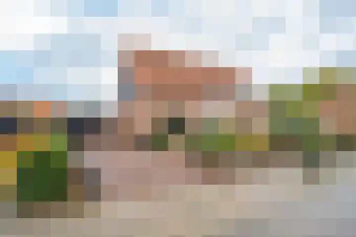 Julianalaan 4 Buren thumbnail 7