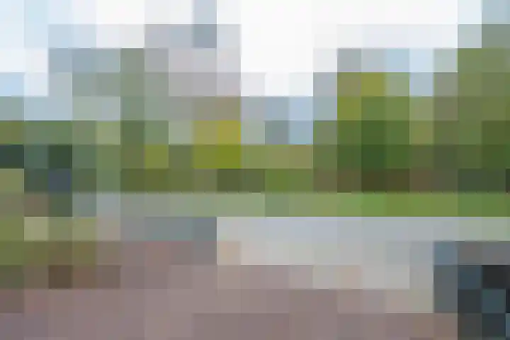 Julianalaan 4 Buren thumbnail 9