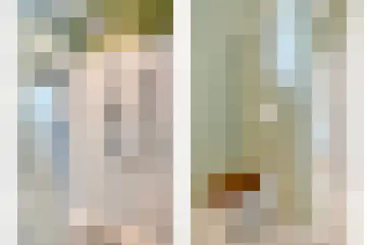 Julianalaan 4 C Oegstgeest thumbnail 31