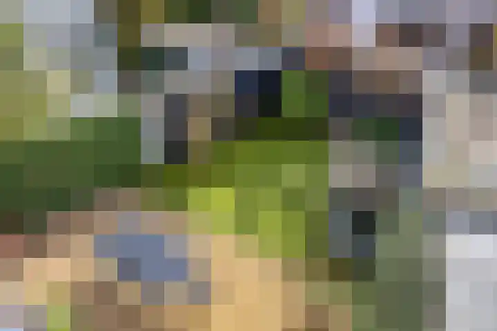 Julianalaan 4 C Oegstgeest thumbnail 35