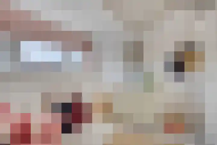 Julianalaan 4 C Oegstgeest thumbnail 38