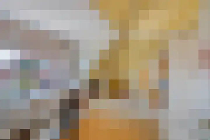 Julianalaan 4 C Oegstgeest thumbnail 43