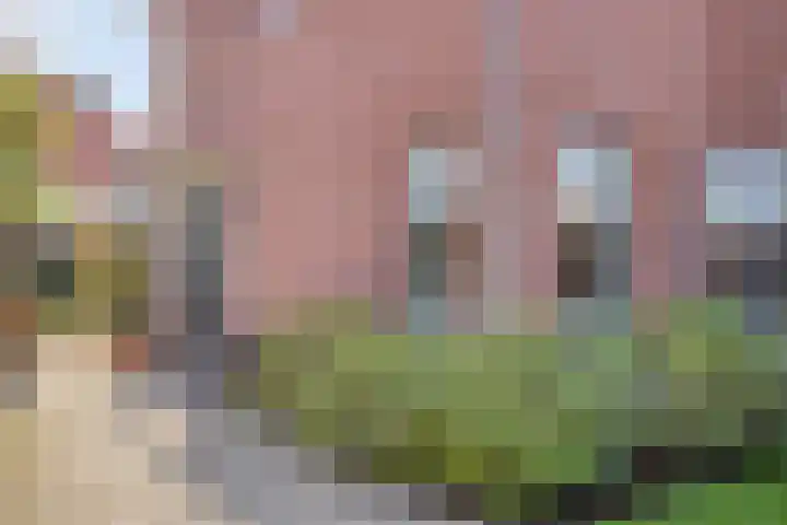 Julianalaan 4 C Oegstgeest thumbnail 6