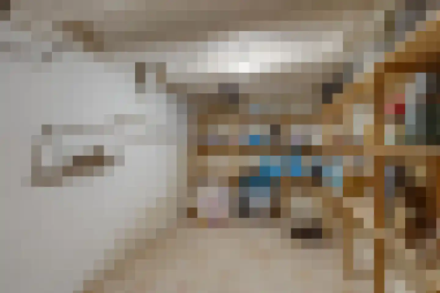 Julianalaan 4 Hengelo (Gld) thumbnail 23