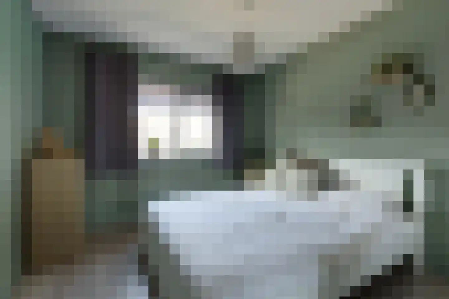 Julianalaan 4 Hengelo (Gld) thumbnail 32