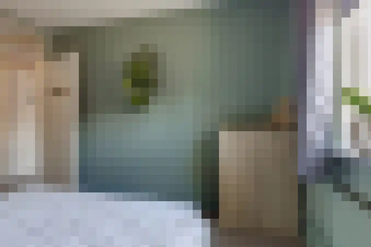 Julianalaan 4 Hengelo (Gld) thumbnail 34