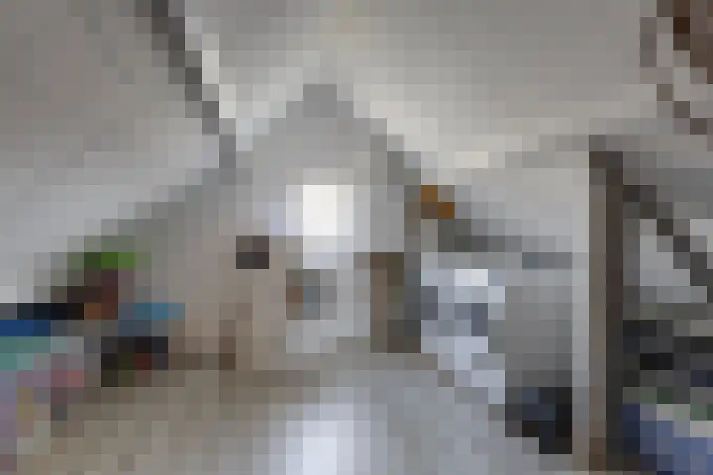 Julianalaan 4 Hengelo (Gld) thumbnail 38