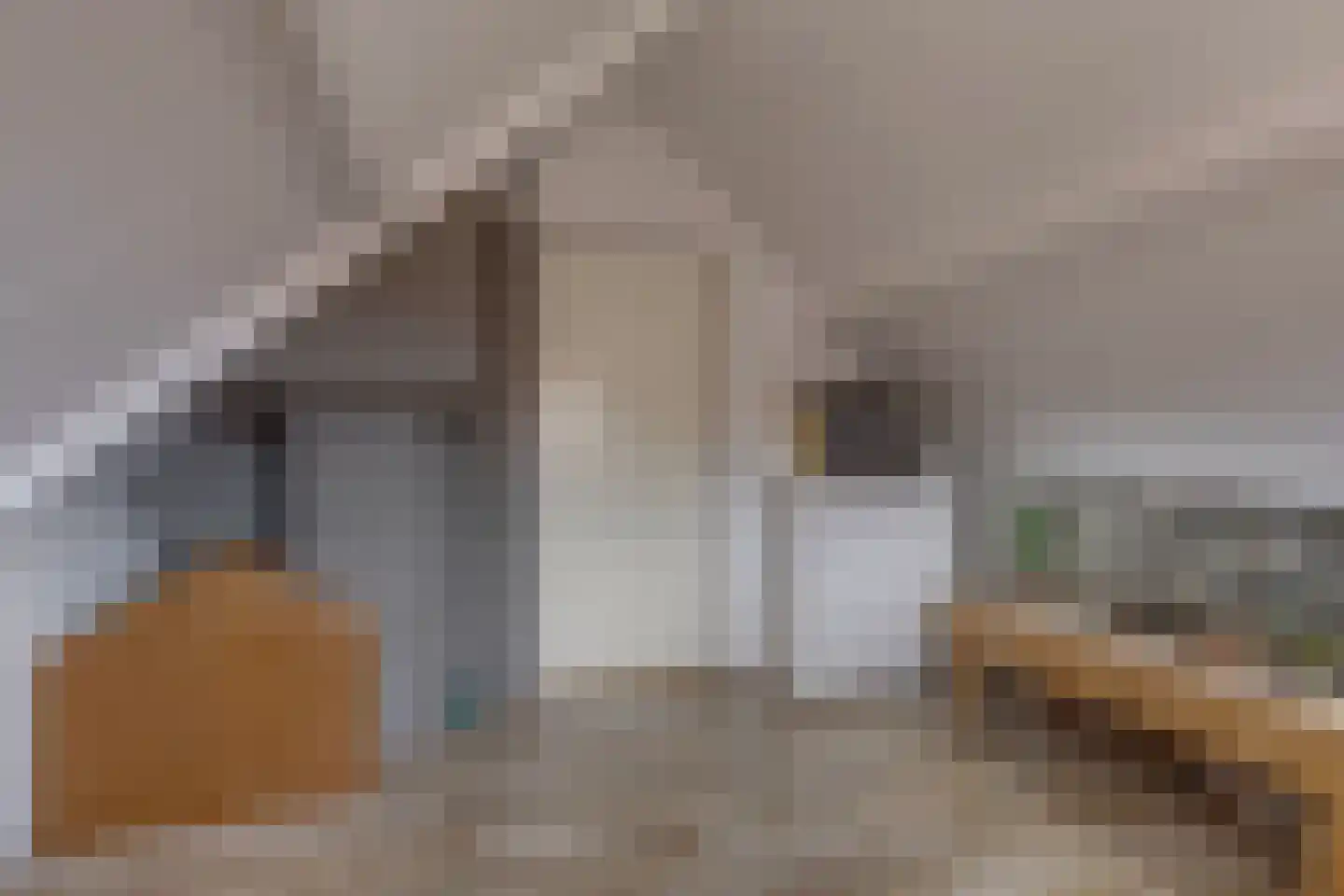 Julianalaan 4 Hengelo (Gld) thumbnail 42