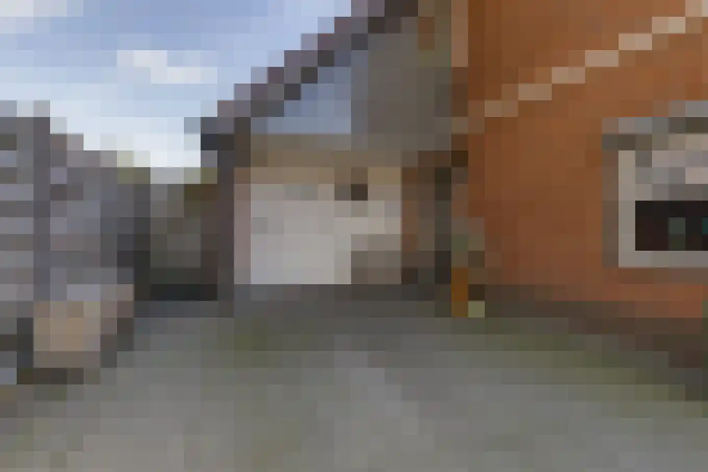 Julianalaan 4 Hengelo (Gld) thumbnail 6