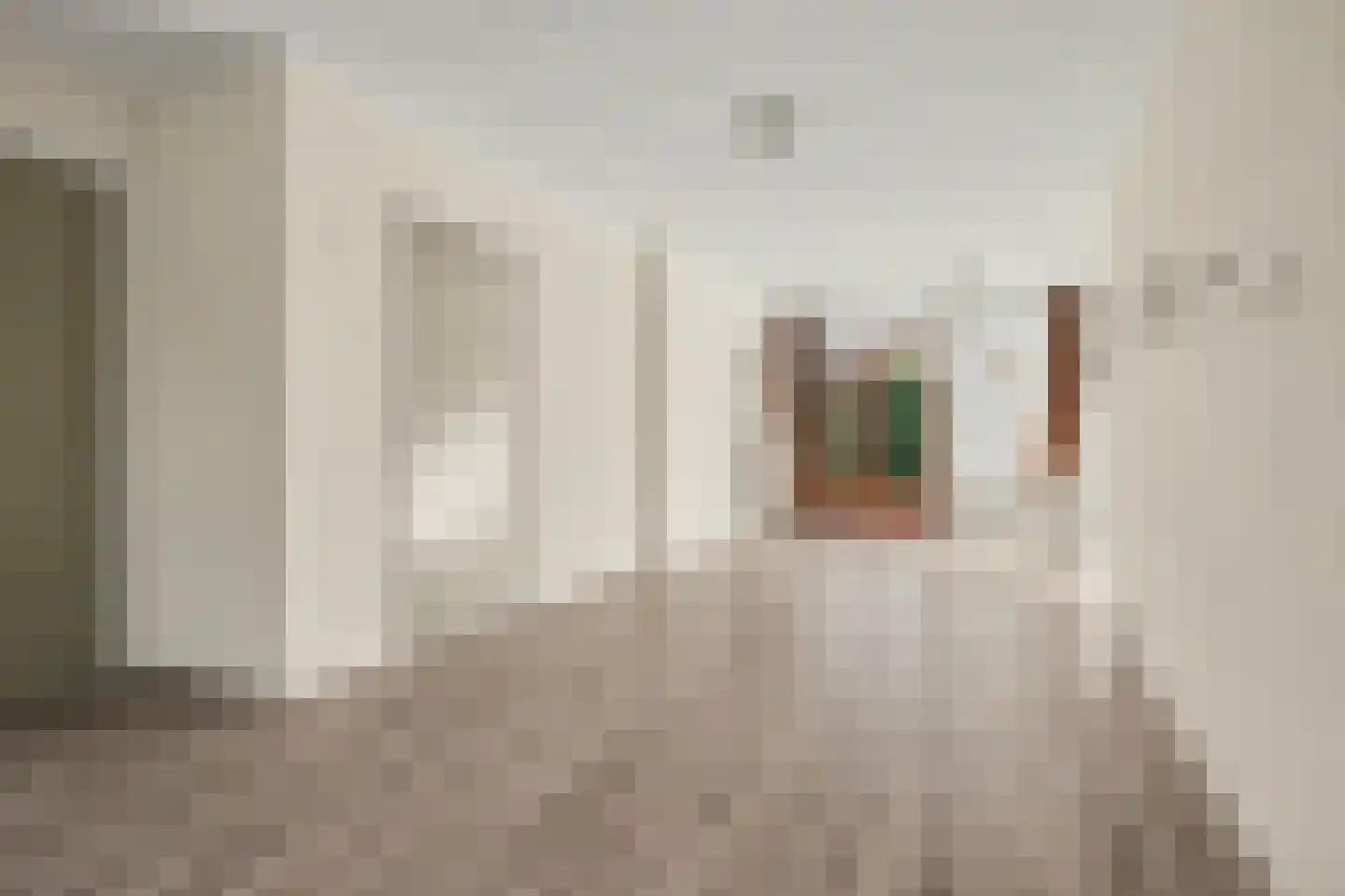 Julianalaan 4 Hulst thumbnail 10