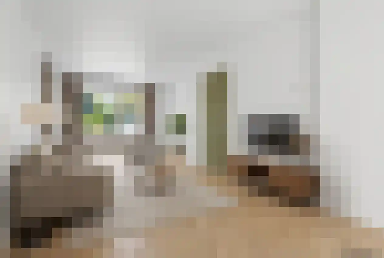 Julianalaan 4 Hulst thumbnail 12