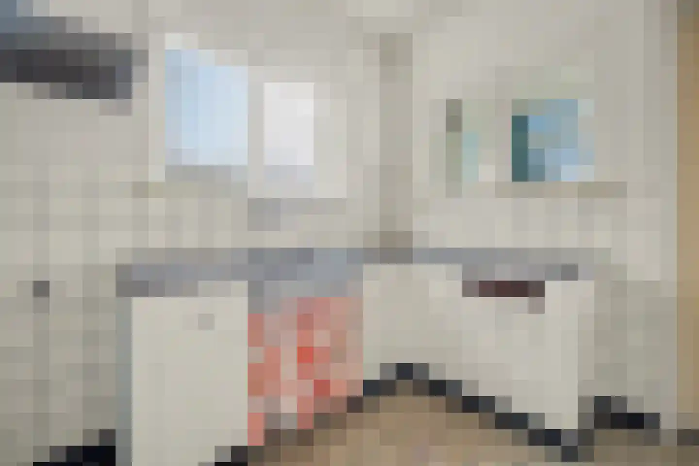 Julianalaan 4 Hulst thumbnail 14