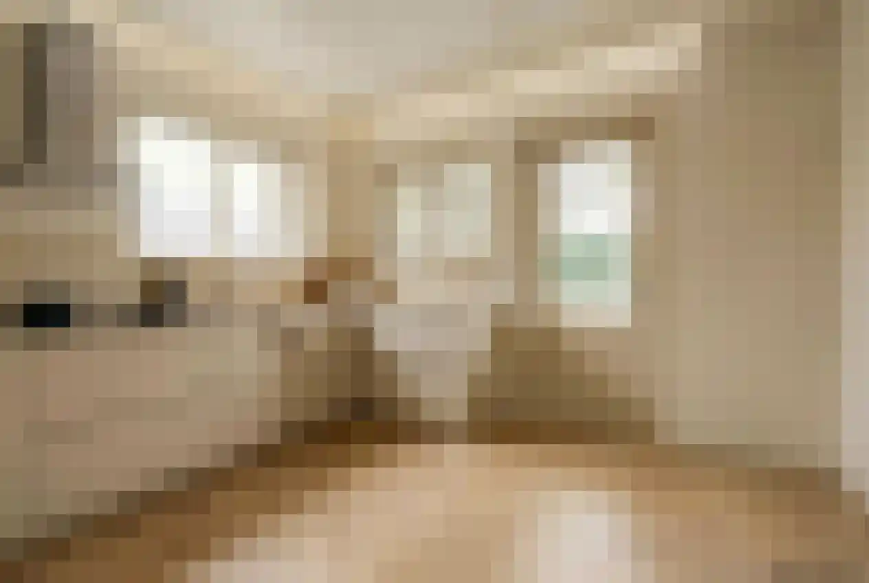 Julianalaan 4 Hulst thumbnail 15