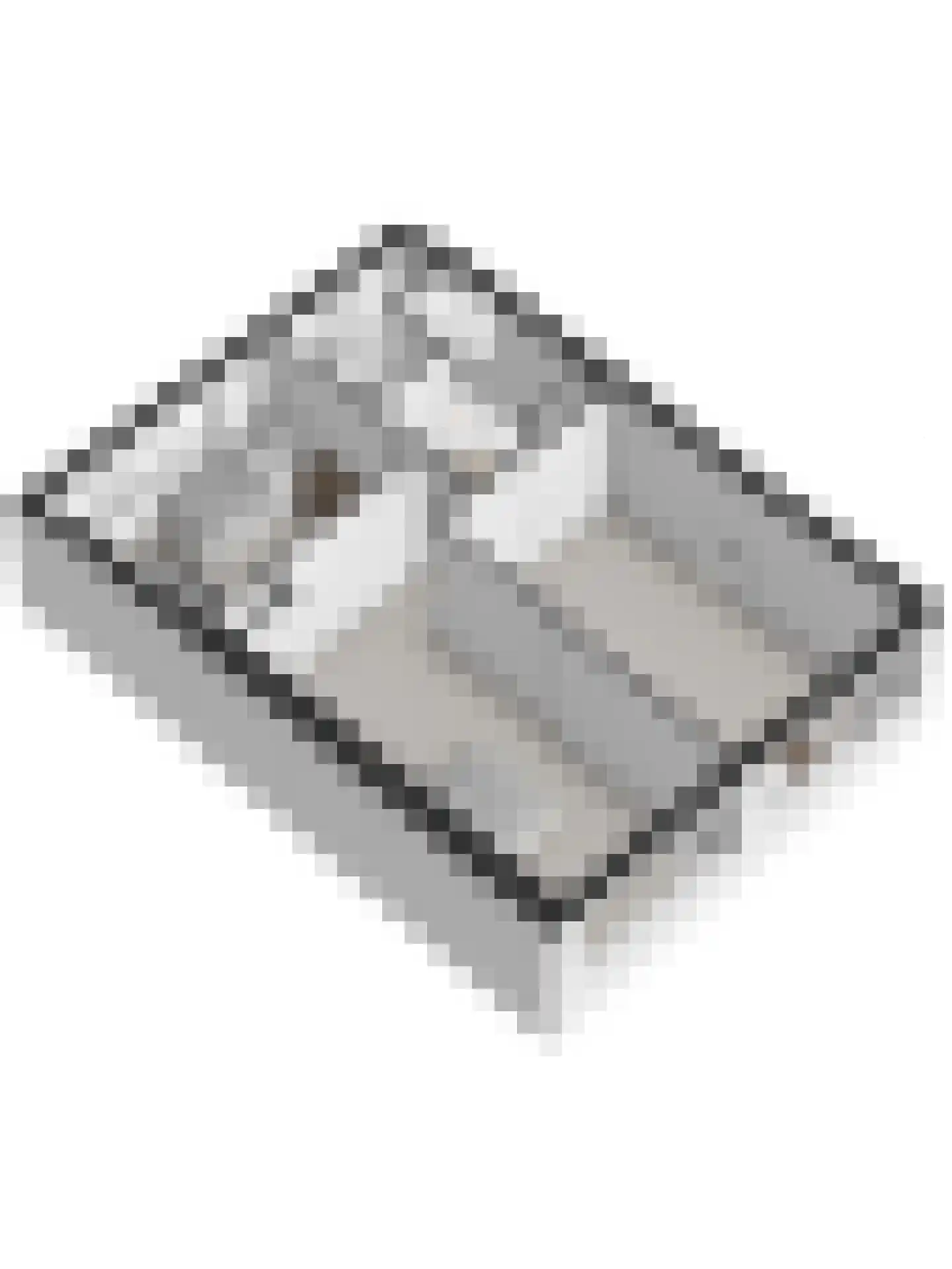 Julianalaan 4 Hulst thumbnail 34