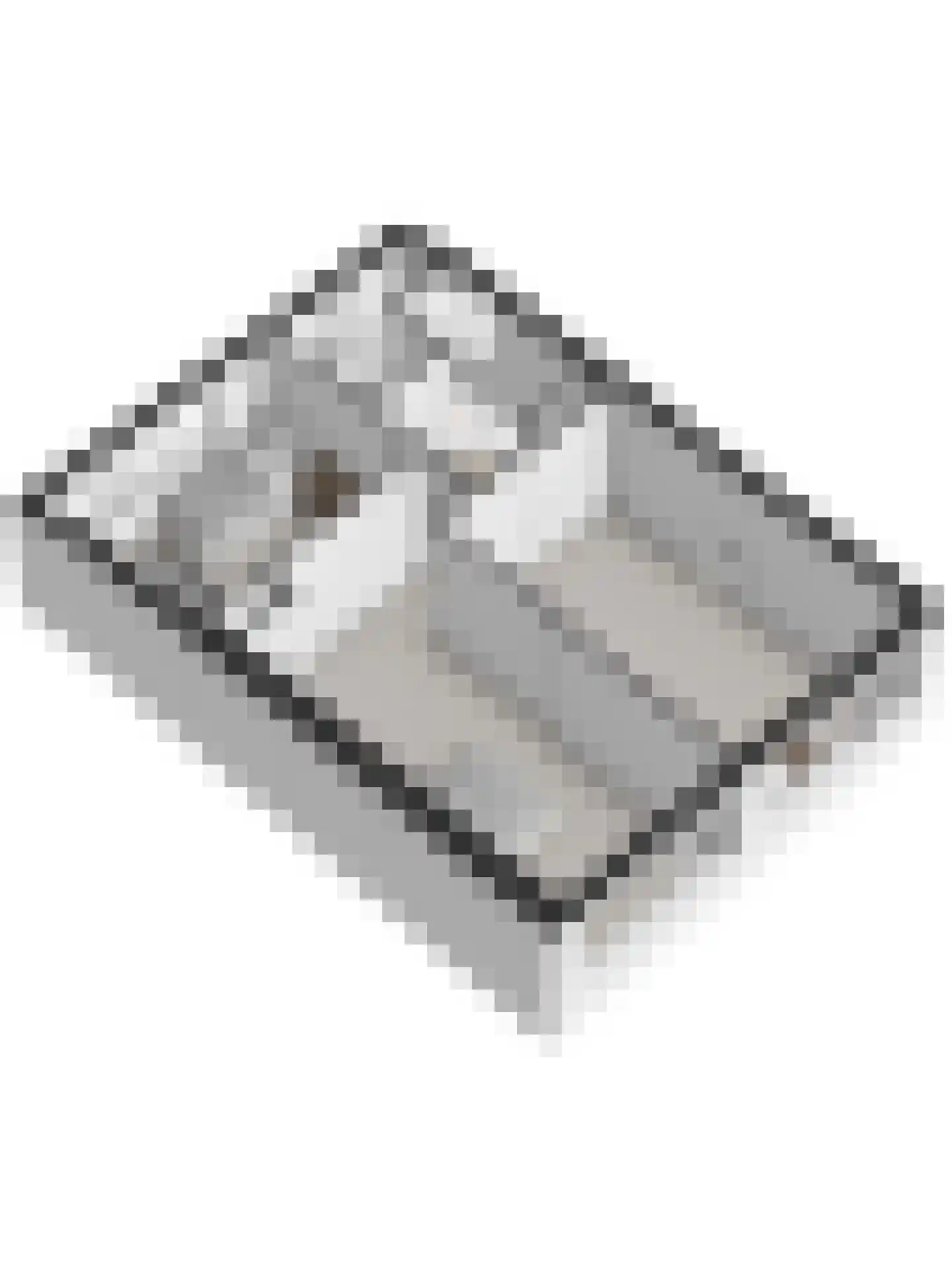 Julianalaan 4 Hulst thumbnail 34