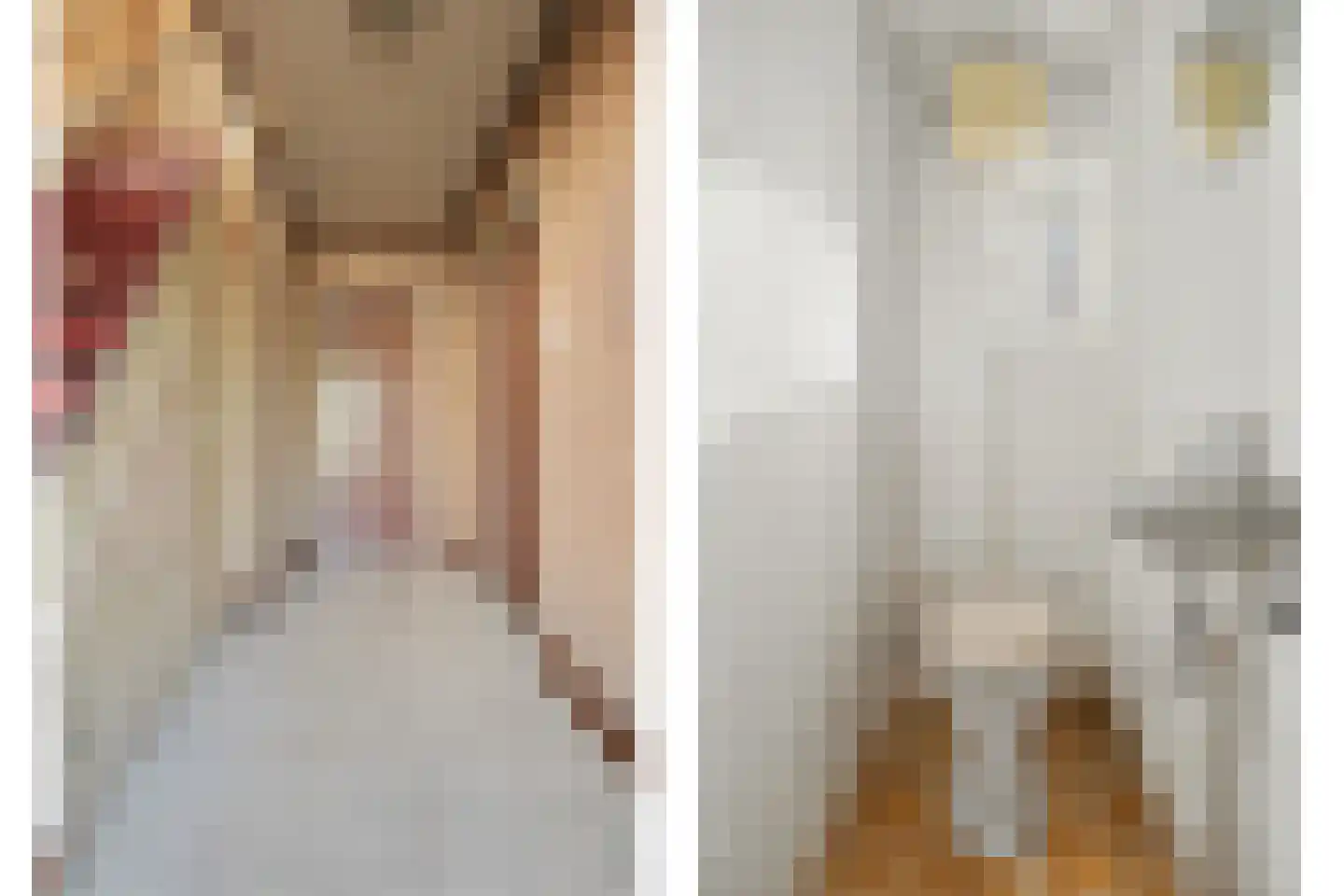 Julianalaan 4 Hulst thumbnail 9