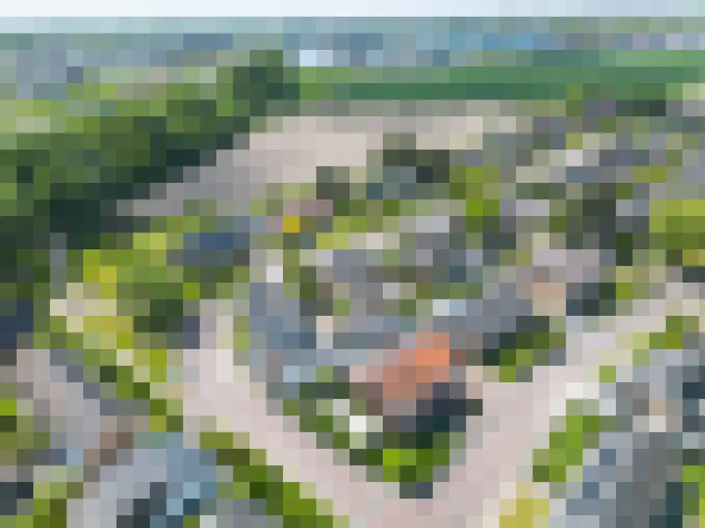 Julianalaan 4 Midlum thumbnail 50