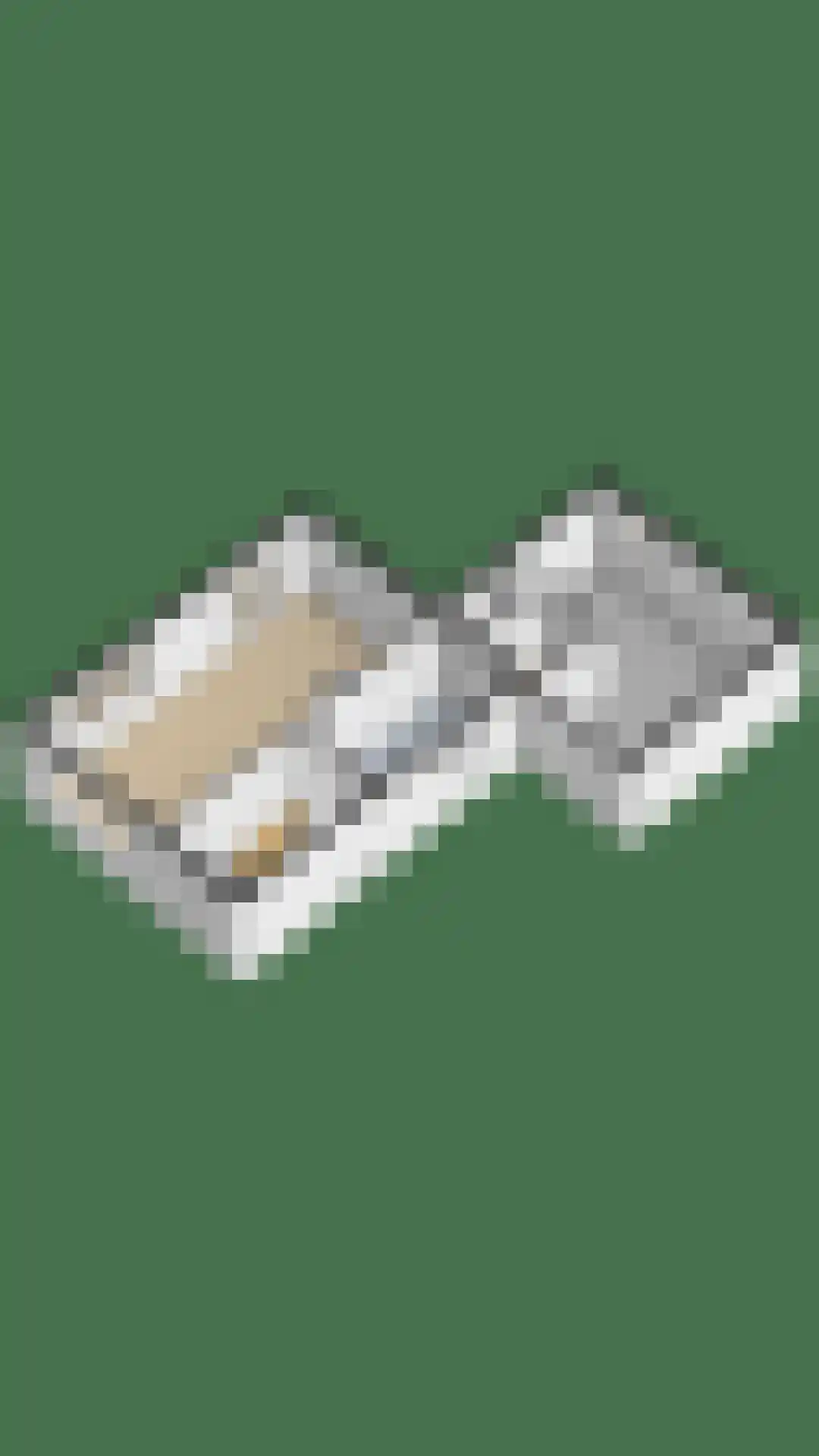 Julianalaan 4 Midlum thumbnail 54