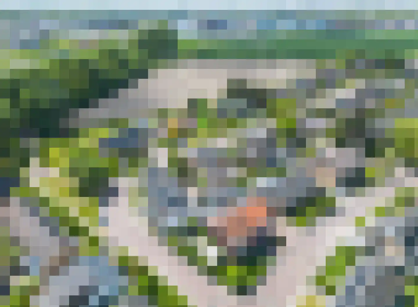 Julianalaan 4 Midlum thumbnail 8